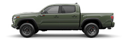 Tacoma Truck